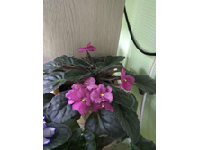 23 ������