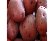 ��������� ����� (1 �����������), 44��� (�������� 8��).jpg