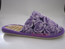 2013JX3177 �����.jpg