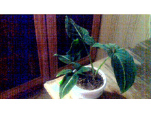 ��������� ���������