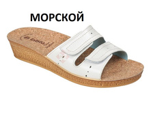 DI-BY �������.jpg