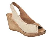 FI-AE ��������.jpg