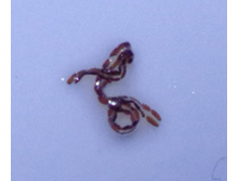 IMG 20191007 164833.jpg