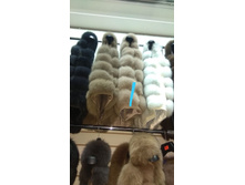 IMG-20191007-WA0006.jpg