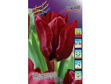 161,7 ���.������� ������� (���������� ����������. � �������� 10��. ���� ������� �� ��������) �������� 1 ����..jpg