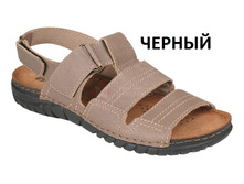 AN-2K ������.jpg