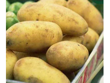 ��������� ������� (1 �����������) 44��� (�������� 17��).jpg