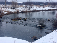 2016-02-24 15.33.25.jpeg