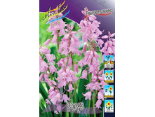 120,6 ���.������������ ���� (���������� ����������. � �������� 10��. ���� ������� �� ��������) �������� 2 ����..jpg