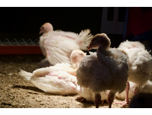 2015-04-03 11.50.07.jpeg