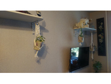 P 20190607 080554 BF.jpg