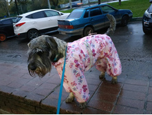 ����������� viber 2019-10-01 07-39-38.jpg