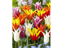 178,2 ���.������� ������������, ����� (���������� ����������. � �������� 10��. ���� ������� �� ��������) �������� 1 ����..jpg