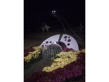 IMG 20191014 192210 HHT.jpg