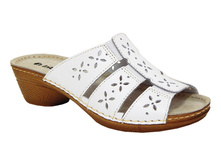 NE19CH �����.jpg