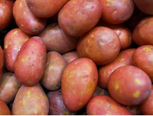 ��������� ������� (1 �����������), 62��� (�������� 18��).jpg