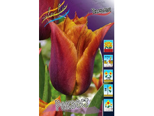 174,1 ���.������� ������� (���������� ����������. � �������� 10��. ���� ������� �� ��������) �������� 2 ����..jpg