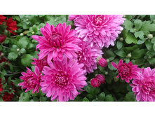 ����������� ����� ����  ������ ������� 6-7 ��