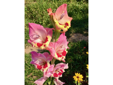 2014-07-29 11.07.29.jpeg