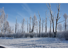 2016-02-20 10.52.37.jpeg