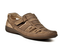 4476 ��.�������.jpg