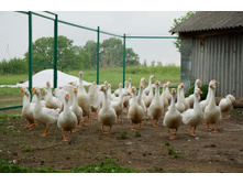 2015-06-26 17.21.37.jpeg