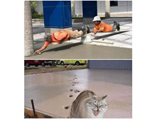 ������ �����!