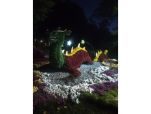 IMG 20191014 185556 HHT.jpg