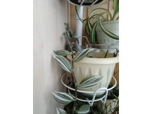 40 ������������