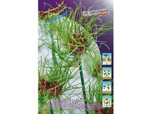 222,5 ���.��� �����. ���� (���������� ����������. � �������� 15��. ���� ������� �� ��������) �������� 4 ����..jpg