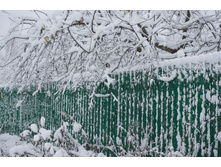 2017-12-03 11.23.30.jpeg