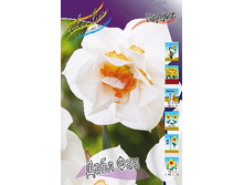 239,3 ���.������� ���� ��� (���������� ����������. � �������� 10��. ���� ������� �� ��������) �������� 2 ����..jpg