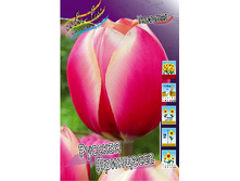 246,3 ���.������� ������� ��������� (���������� ����������. � �������� 10��. ���� ������� �� ��������) �������� 3 ����..jpg