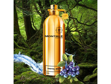 SANTAL WOOD MONTALE � � 100 �� 3900+%+����