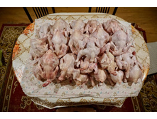 2016-03-02 22.16.39.jpeg