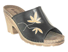 ZAS4IV ������.jpg