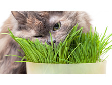 ����� ��� ����� � ����� (������� �����) 3,2 ���.jpeg