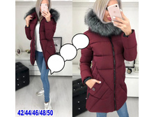 2025� 42,44,46,48,50 ���� 7.jpg