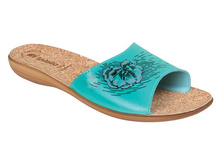 NCSB5C �������.jpg