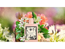 BLOOM NETTARE DI FIORI GUCCI � � 100�� 3200+%+����