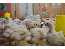 2016-02-15 13.17.23.jpeg