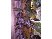 14 ������������