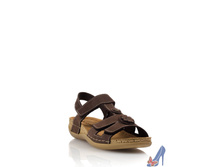 DD-31PN �.����������.jpg