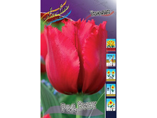 184,4 ���.������� ��� ���� (���������� ����������. � �������� 10��. ���� ������� �� ��������) �������� 2 ����..jpg