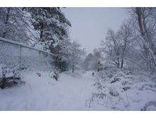 2017-12-03 11.40.53.jpeg