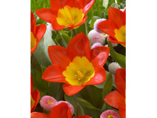 205 ���.������� ������ (���������� ����������. � �������� 10��. ���� ������� �� ��������) �������� 5 ����..jpg