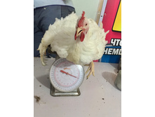 2015-03-01 11.43.40.jpeg