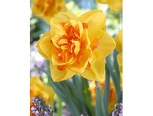 299,2 ���.������� �� ���� (���������� ����������. � �������� 7��. ���� ������� �� ��������) �������� 3 ����..jpg