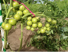 2012-07-24 17.29.34.jpeg