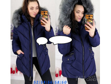 2850� 52,54,56,58,60 ���� 6.jpg